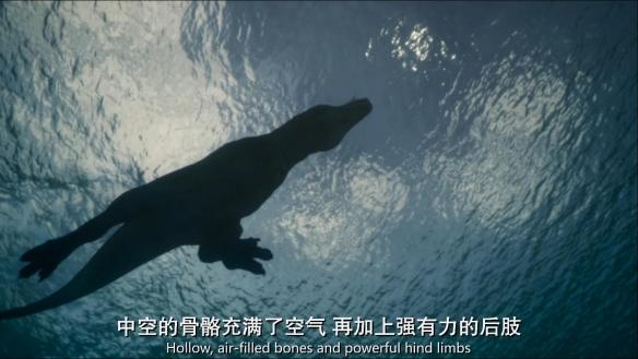 远古生物真实纪录片，史前生物大揭秘纪录片（BBC做出了二十年来最棒的恐龙纪录片）