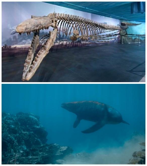 远古生物真实纪录片，史前生物大揭秘纪录片（BBC做出了二十年来最棒的恐龙纪录片）