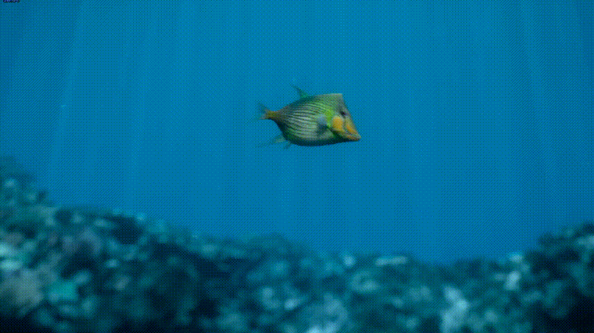 远古生物真实纪录片，史前生物大揭秘纪录片（BBC做出了二十年来最棒的恐龙纪录片）