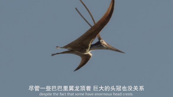 远古生物真实纪录片，史前生物大揭秘纪录片（BBC做出了二十年来最棒的恐龙纪录片）