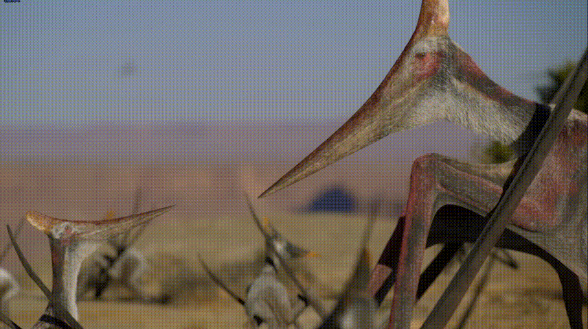 远古生物真实纪录片，史前生物大揭秘纪录片（BBC做出了二十年来最棒的恐龙纪录片）