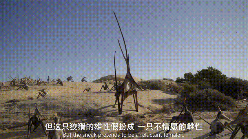 远古生物真实纪录片，史前生物大揭秘纪录片（BBC做出了二十年来最棒的恐龙纪录片）