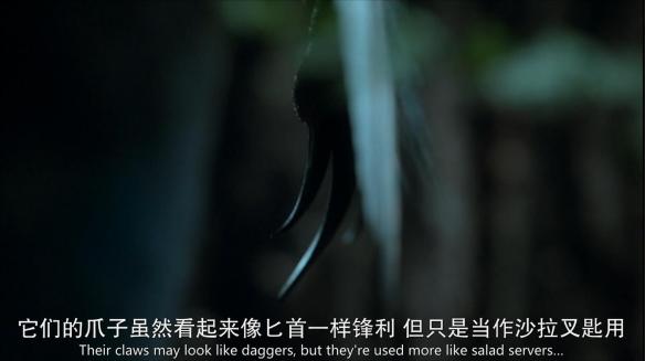 远古生物真实纪录片，史前生物大揭秘纪录片（BBC做出了二十年来最棒的恐龙纪录片）