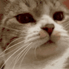 流水号都能查到什么信息，流水号都能查到什么信息吗（高明一男子的秘密被挖出……）