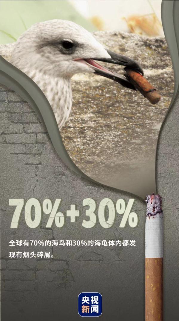 世界无烟日是几月几日,世界无烟日是几月几日图片