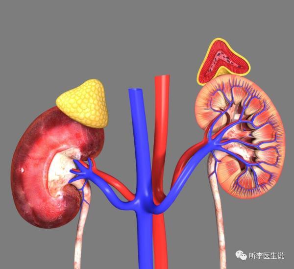 孙什么意思解释，孙字笔画笔顺（女子睡醒发现手脚不能动弹）