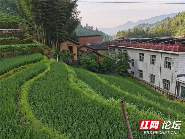 疲惫不堪的堪的意思，疲倦不堪中堪的意思（湘南话是这样说）