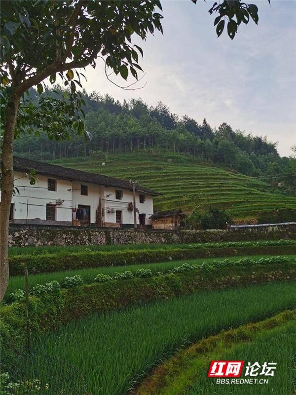 疲惫不堪的堪的意思，疲倦不堪中堪的意思（湘南话是这样说）