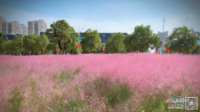 江西建设职业技术学校，江西建设职业技术学院是公办还是民办大学（江西建设职业技术学院校园风采）