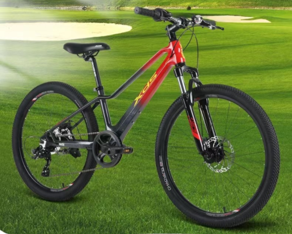 自行车尺寸怎么测量，自行车尺寸怎么量图解（适合中大童朋友的自行车的选择）