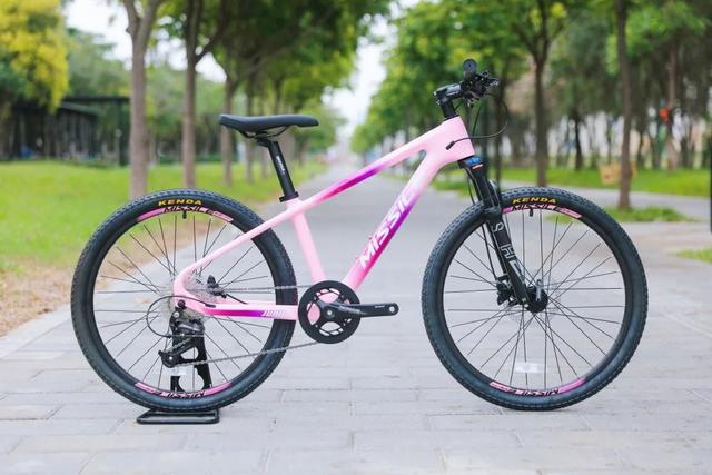 自行车尺寸怎么测量，自行车尺寸怎么量图解（适合中大童朋友的自行车的选择）