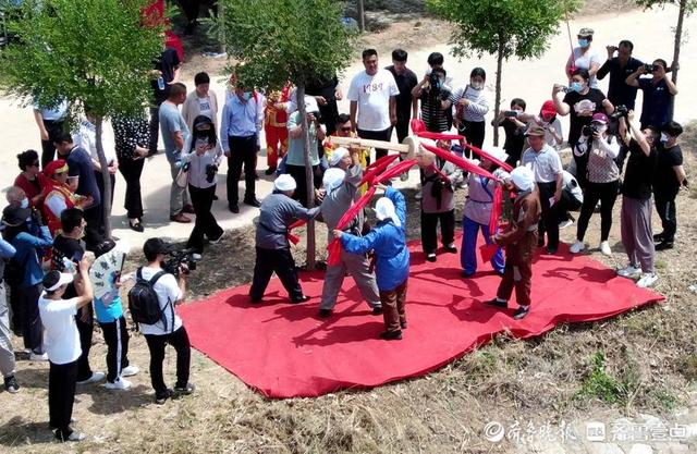 德州跑驴，德州跑驴是非遗吗（德州：鼓声响棹桨起）