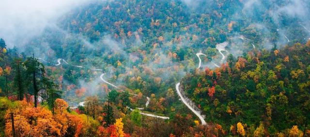 为什么要保护环境，保护环境的三个理由（环境保护对人类的重要性）