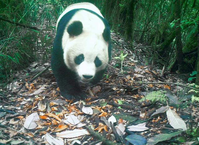 为什么要保护环境，保护环境的三个理由（环境保护对人类的重要性）