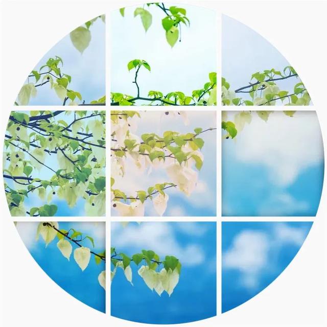 为什么要保护环境，保护环境的三个理由（环境保护对人类的重要性）