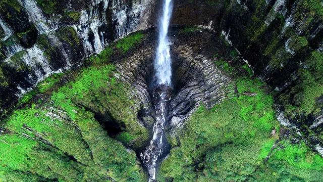 为什么要保护环境，保护环境的三个理由（环境保护对人类的重要性）