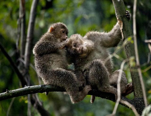 为什么要保护环境，保护环境的三个理由（环境保护对人类的重要性）