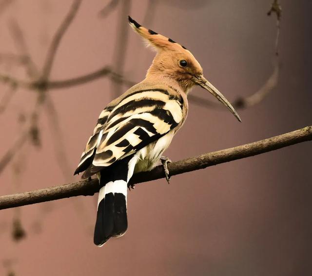 为什么要保护环境，保护环境的三个理由（环境保护对人类的重要性）