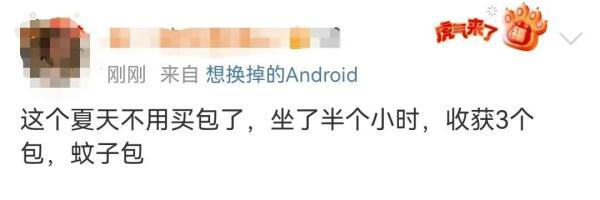 什么血型最招蚊子，什么血型最招蚊子咬?原来一点关系都没有（原来蚊子最爱的不是O型血）