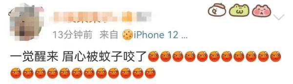 什么血型最招蚊子，什么血型最招蚊子咬?原来一点关系都没有（原来蚊子最爱的不是O型血）