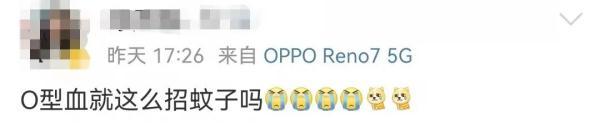 什么血型最招蚊子，什么血型最招蚊子咬?原来一点关系都没有（原来蚊子最爱的不是O型血）