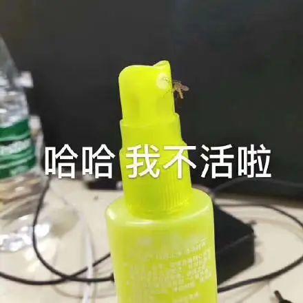 什么血型最招蚊子，什么血型最招蚊子咬?原来一点关系都没有（原来蚊子最爱的不是O型血）