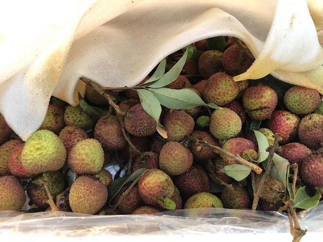 超市一般有些什么水果卖，超市都卖什么水果（上海7家超市肉菜水果比价）