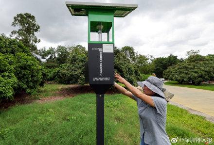 糯米糍荔枝几月成熟，2021年糯米糍荔枝价格如何（南山荔枝延期到6月15日上市）