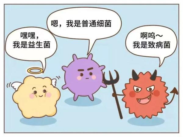 45ml是多少两，45ml有几两（“隔夜西瓜”一口8400个细菌、菌落总数达42000）