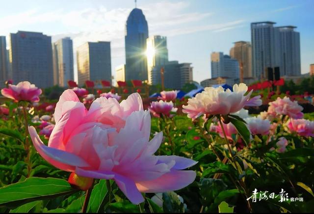 芒种的寓意和象征，芒种的寓意和象征和三厚（节气之美——芒种）