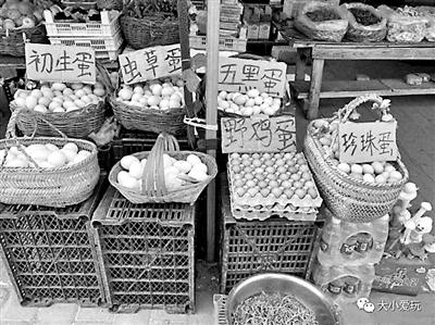 水库？宝库！解锁亲水遛娃好地方