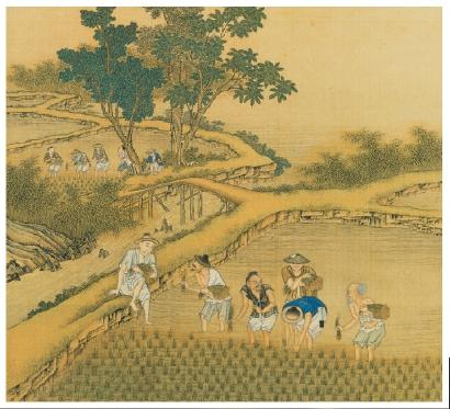 穑什么意思解释，穑字笔画笔顺（在“二十四节气”里读懂中国丨芒种）