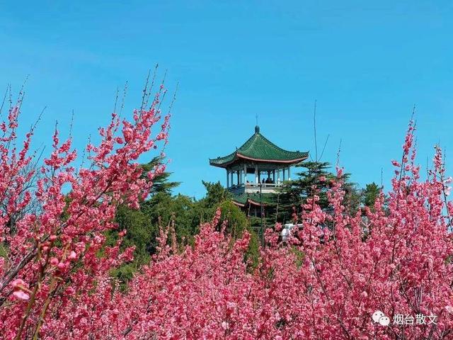 热风海陆头像/“在日落之前牵一次手吧.”微信，热风海陆头像/“在日落之前牵一次手吧.”（燕台石，烟台的四季咏叹）