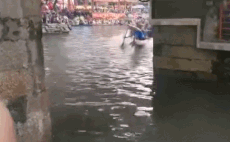 端阳节，端午节是几月几日（广东这赛龙舟，真是把人看愣了）