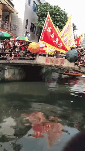 端阳节，端午节是几月几日（广东这赛龙舟，真是把人看愣了）