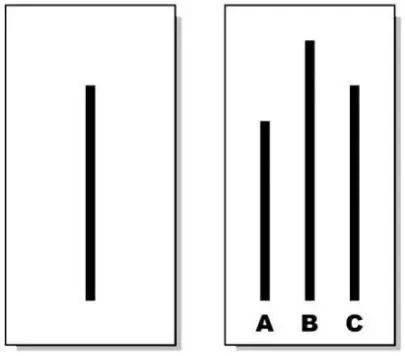 霍桑实验，消费者会骗人（霍桑实验是谁做的）