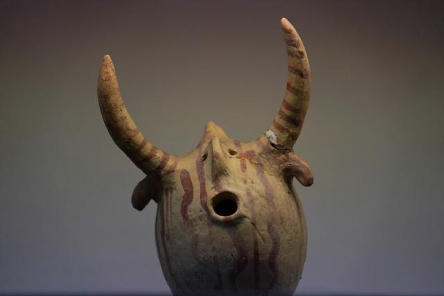 星月国旗是哪些国家，红色的星月旗是哪个国家的国旗（时间之河的幸存者相聚于此）