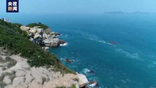 珊瑚体内有大量共生的什么藻类，珊瑚体内有大量共生什么藻（关于珊瑚的这些知识了解一下）