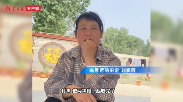 1000斤等于多少吨，一千斤等于多少吨（肖思远父母为啥偷偷收麦子）
