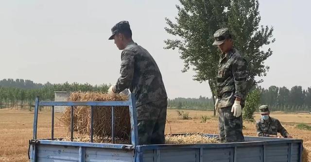 1000斤等于多少吨，一千斤等于多少吨（肖思远父母为啥偷偷收麦子）
