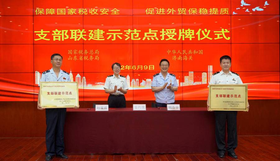 山东税务局(山东一般纳税人资格查询)
