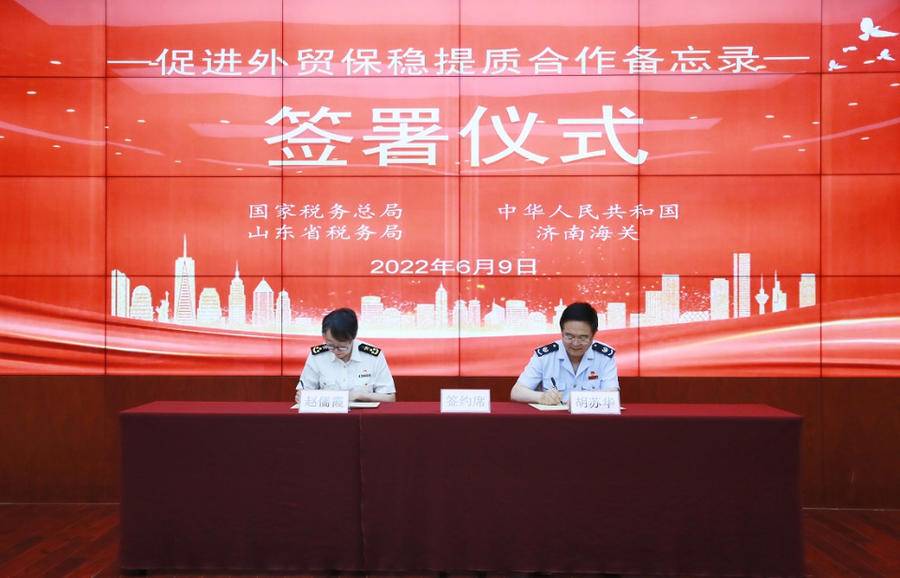 山东税务局(山东一般纳税人资格查询)
