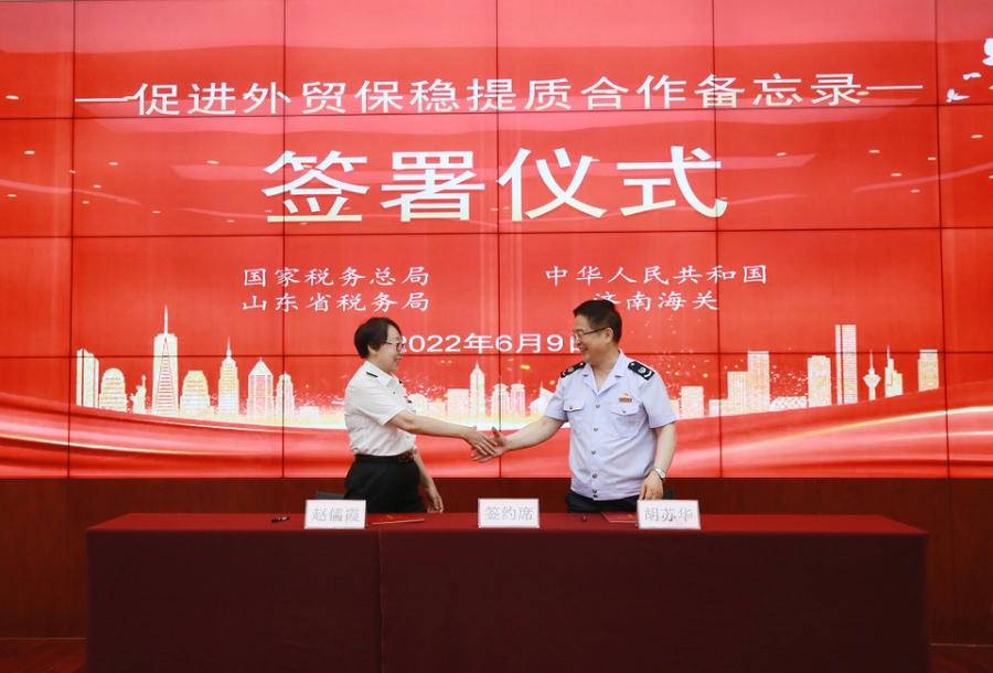 山东税务局(山东一般纳税人资格查询)