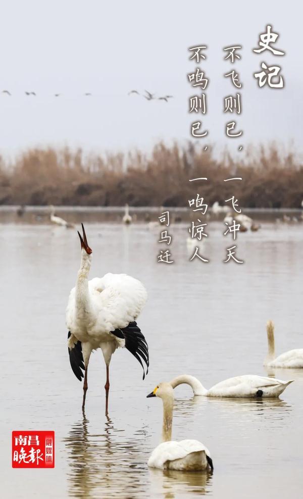 高考祝福语诗句，高考祝福语的诗句（这些绝美的诗词箴言）