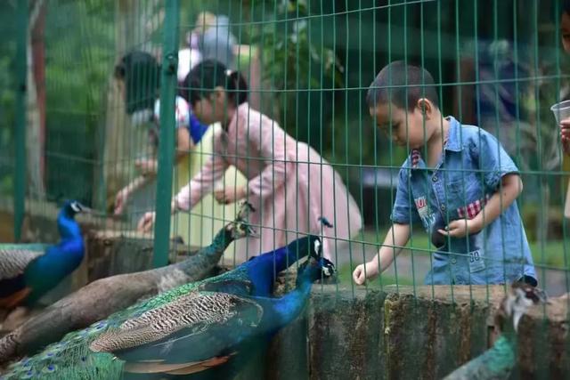 防城港市有哪些旅游景点呢，防城港市有哪些旅游景点呢自驾游（防城港这些景点安排上）