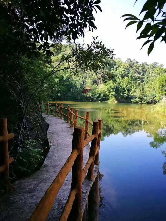 防城港市有哪些旅游景点呢，防城港市有哪些旅游景点呢自驾游（防城港这些景点安排上）