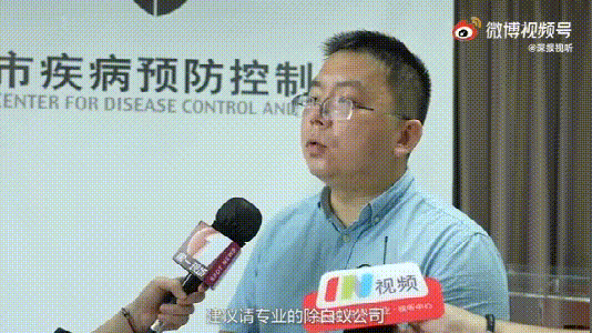 白蚁是什么样子，白蚁是什么样子的图片大全（掌握5招让它们退）