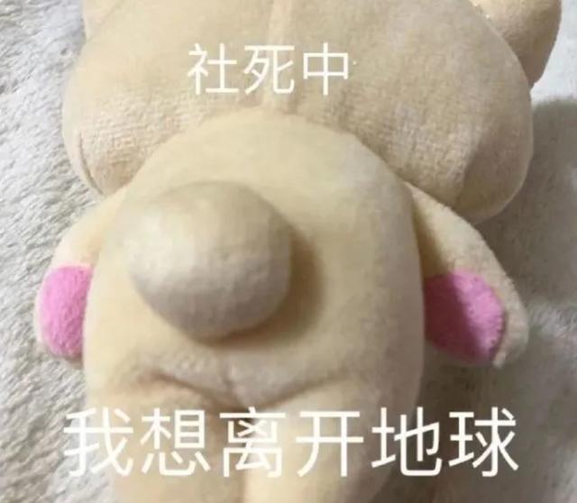 bbq是什么意思网络用语（2022中国流行语用韩语怎么说）