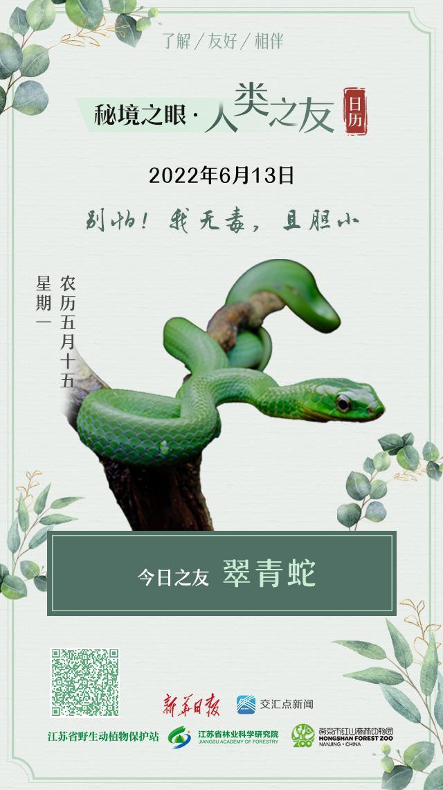 蛇男性格大解析，蛇男的性格和脾气优点和缺点（秘境之眼·人类之友）