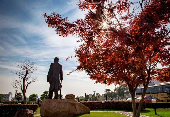 浙大竺可桢学院,浙江大学竺可桢学院(浙江大学2022年本科招生亮点解读